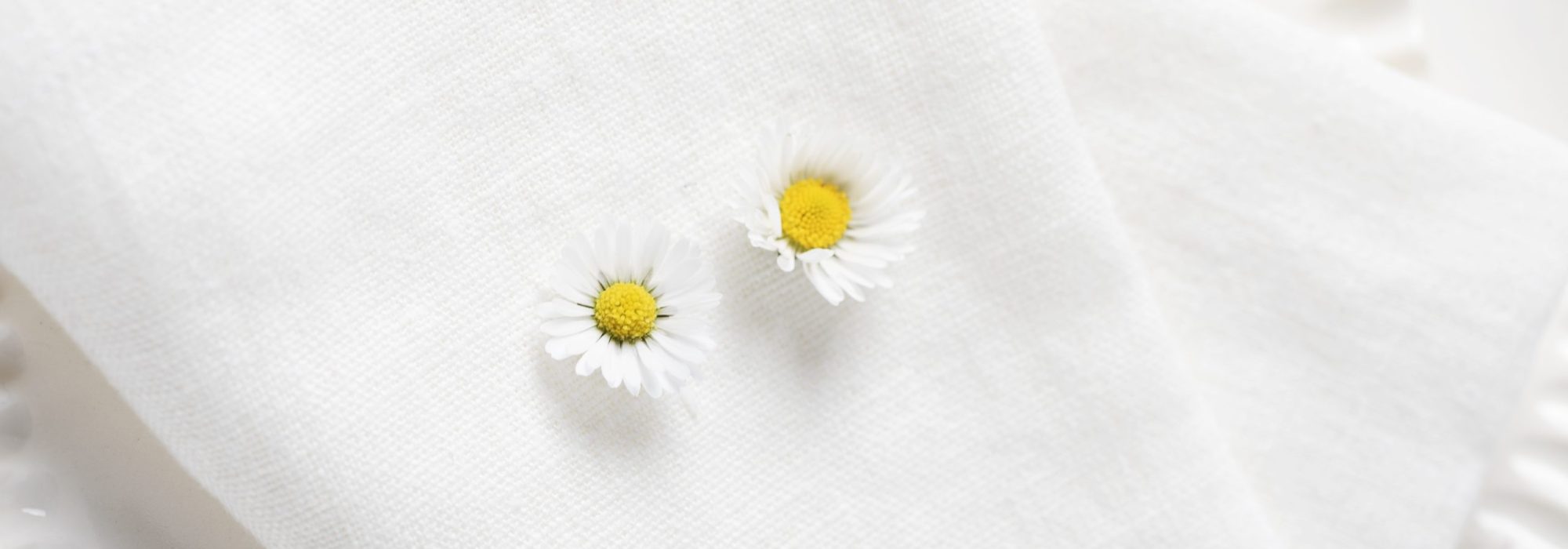 Concept of cozy table decor with wild daisy flowers and white linen napkin, selective focus image