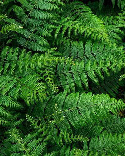 laura-eQE3AoQz7Nc-unsplash